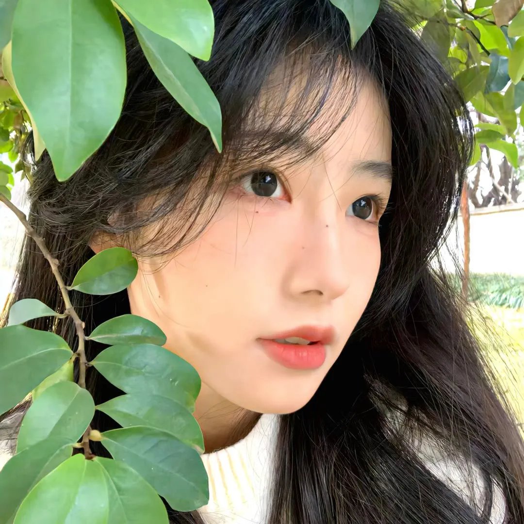 春来家事